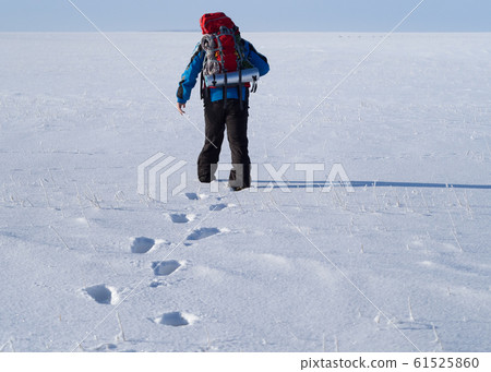 Lonely human walk by snow desert. Back view. 61525860