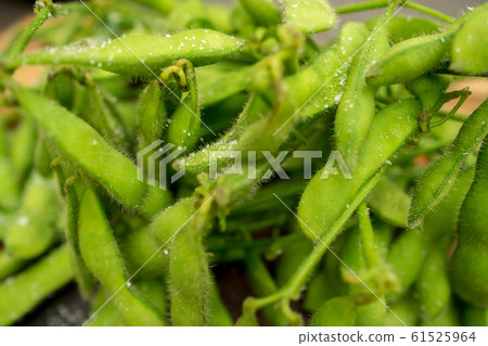 Edamame 61525964