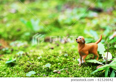 消息空間想些什麼 消息空間想些什麼 61526642