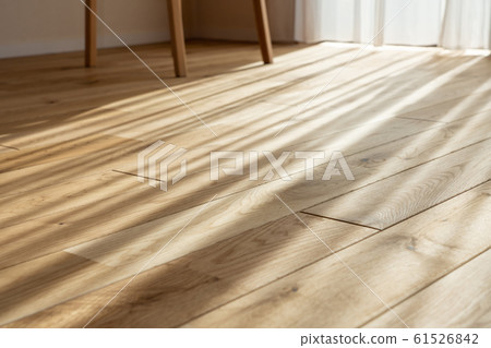 生活在陽光下 61526842