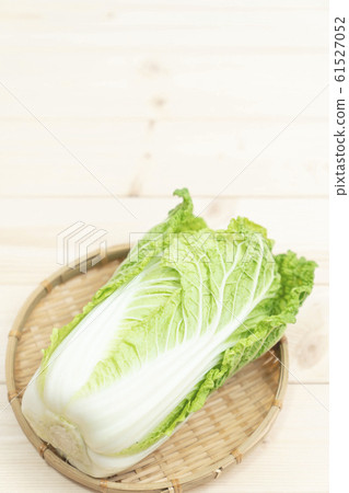 中國的白菜 中國的白菜 61527052