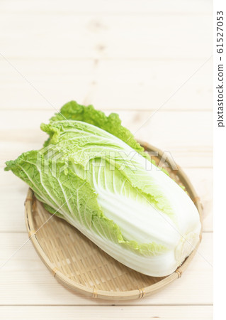 Cabbage Cabbage 61527053