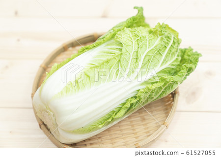 Cabbage Cabbage 61527055