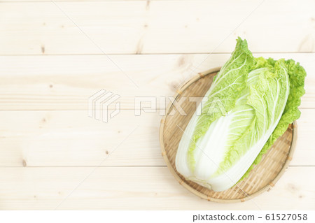 Cabbage 61527058