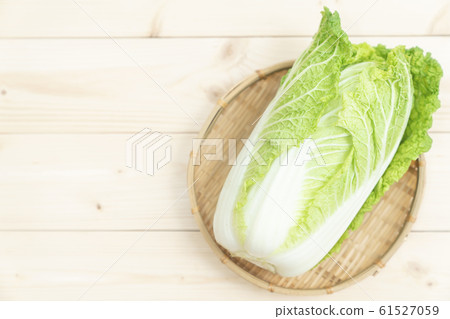 Cabbage Cabbage 61527059