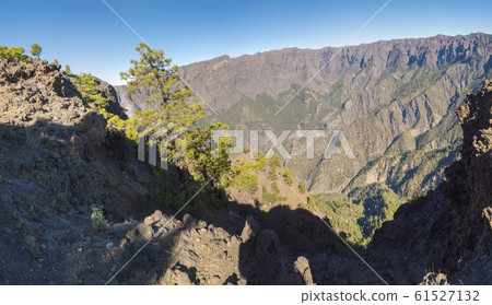 Panoramic view on crater Caldera de Taburiente from viepoint at top of Pico Bejenado mountain on the island La Palma, Canary Islands, Spain 61527132