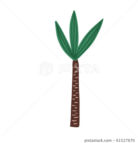 hand drawn palm tree isolated on white background. Doodle exotic rainforest tree. 61527870