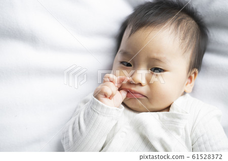 baby boy 6 month  61528372