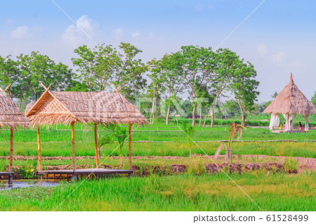The resting huts constructed from bamboo and thatched roofs for relaxing in the rice fields. 61528499