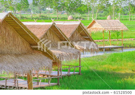 The resting huts constructed from bamboo and thatched roofs for relaxing in the rice fields. The resting huts constructed from bamboo and thatched roofs for relaxing in the rice fields. 61528500
