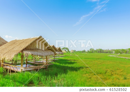The resting huts constructed from bamboo and thatched roofs for relaxing in the rice fields. The resting huts constructed from bamboo and thatched roofs for relaxing in the rice fields. 61528502
