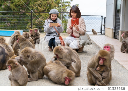 Women's trip winter (cooperation with Takasakiyama Natural Zoo) 61528686