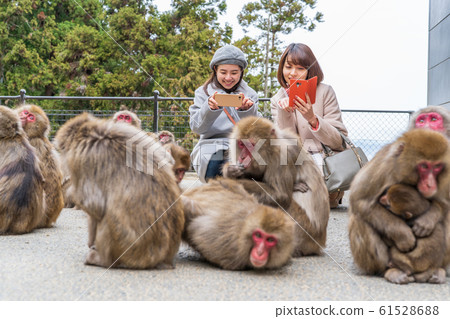 Women's trip winter (cooperation with Takasakiyama Natural Zoo) Women's trip winter (cooperation with Takasakiyama Natural Zoo) 61528688