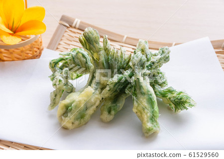 Tempura of Tara Bud Tempura of Tara Bud 61529560