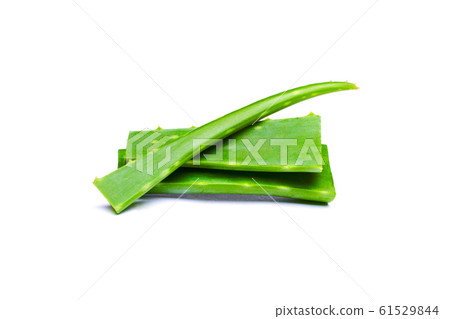 Green aloe isolated on empty white table, close-up 61529844