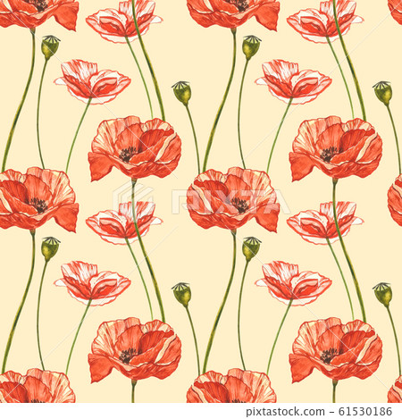 Watercolor Red Poppies Seamless Patterns Wild Stock Illustration