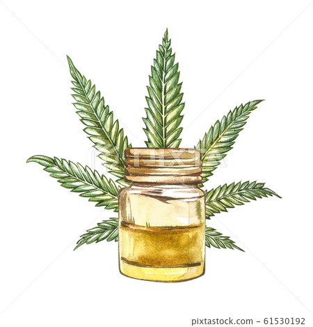 CBD oil hemp products. Watercolor illustration on white background. 61530192