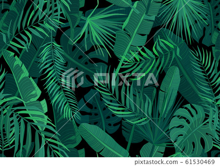 Tropic seamless pattern vector illustration. Tropical floral endless background with exotic palm, banana, monstera leaves on dark black backdrop Tropic seamless pattern vector illustration. Tropical floral endless background with exotic palm, banana, monstera leaves on dark black backdrop 61530469