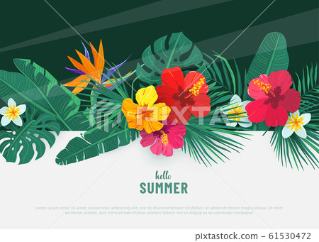 Summer tropical vector background. Flat lay geometric tropic design with exotic hibiscus flower and palm leaves. Spring floral wall border illustration Summer tropical vector background. Flat lay geometric tropic design with exotic hibiscus flower and palm leaves. Spring floral wall border illustration 61530472