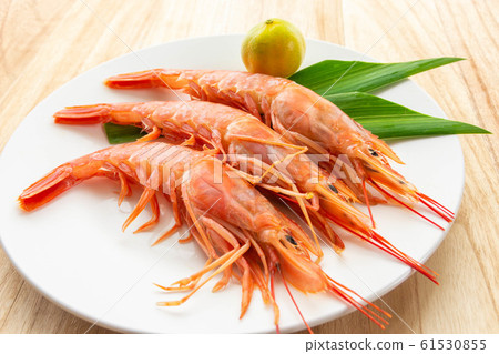 Red Shrimp 61530855