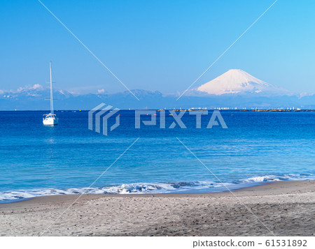 Shonan (Winter) 61531892