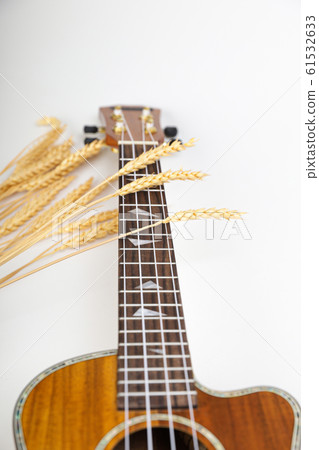 Ukulele on a white background. Hawaiian guitar 61532633