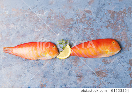 Beautiful tropical red sea fish Pearly razorfish on a blue background. Xyrichtys novacula, seafood from Mediterranean Sea. Fish pattern 61533364