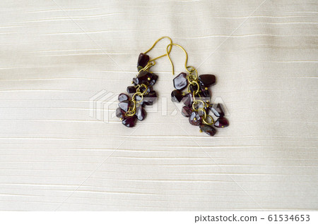 Beautiful, feminine, fashion earrings 61534653