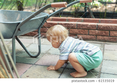 Cute adorable caucasian toddler boy playing with big old wheelbarrow at backyard in garden outdoors. Child little helper in t-short and shorts having fun pushing barrow and gardening at countryside Cute adorable caucasian toddler boy playing with big old wheelbarrow at backyard in garden outdoors. Child little helper in t-short and shorts having fun pushing barrow and gardening at countryside 61535019