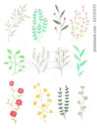 Crayon illustration-leaves and flowers 61535373