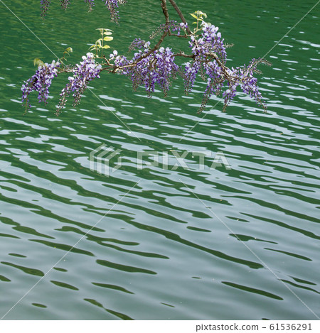初夏的水壩湖，Onsui-7湖 61536291