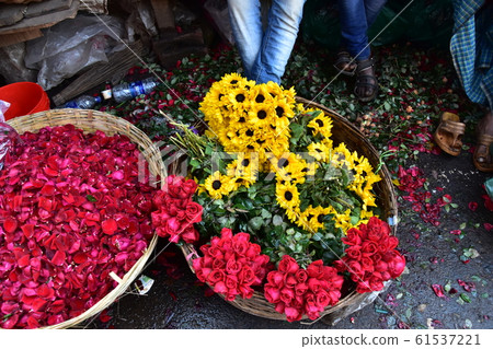Indian Kolkata Flower Market-Vibrant and Beautiful Petals for Sale Indian Kolkata Flower Market-Vibrant and Beautiful Petals for Sale 61537221