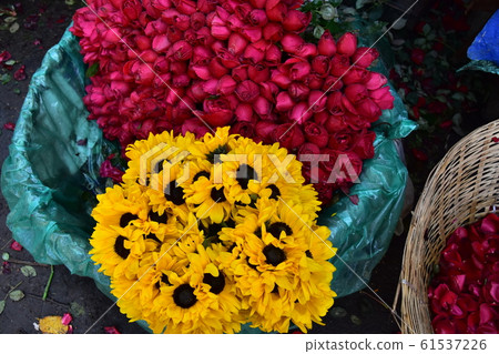 印度加爾各答花卉市場-充滿活力的美麗的花瓣出售 印度加爾各答花卉市場-充滿活力的美麗的花瓣出售 61537226