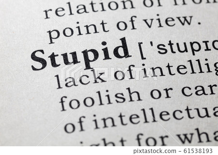 definition of stupid 61538193