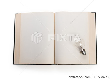 book and light bulb 61538242