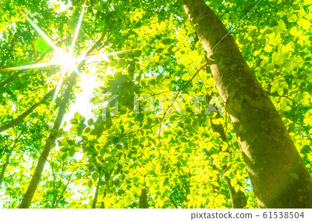 Fresh green and eco image 61538504