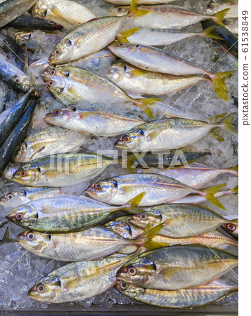 Pile of fresh fish on frozen ice in seafood market 61538849