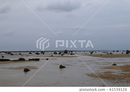 澤田海灘 澤田海灘 61539128