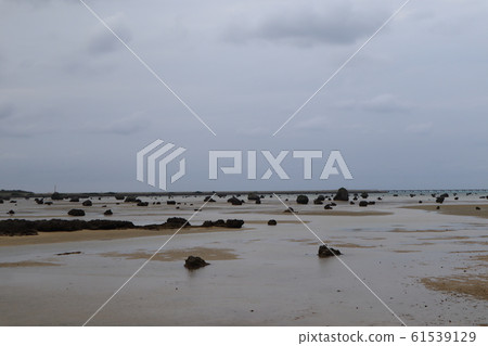 Beach of Sawada Beach of Sawada 61539129