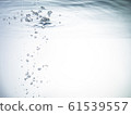 water    61539557