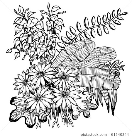 Hand drawn Leaves 61540244