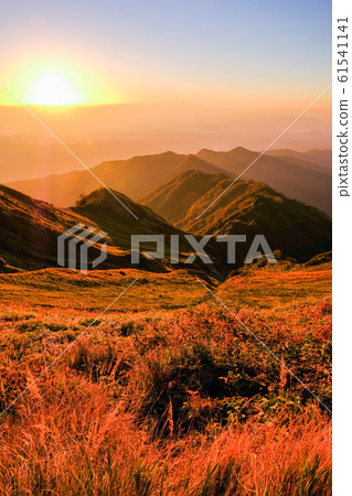 秋天的高麗登山（黎明：高麗山莊） 61541141