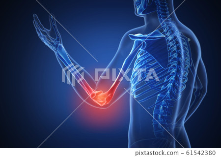 3d rendering of a human body with highlighted... - Stock Illustration ...