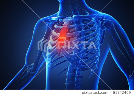3d rendering of a human body with highlighted...-插圖素材 [61542409] - PIXTA圖庫