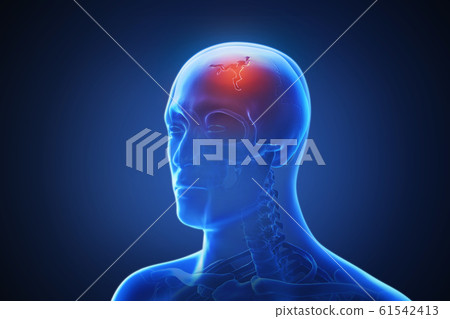 3d rendering of a human body with highlighted... - Stock Illustration ...