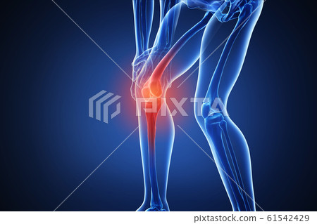 3d rendering of a human body with highlighted...-插圖素材 [61542429] - PIXTA圖庫