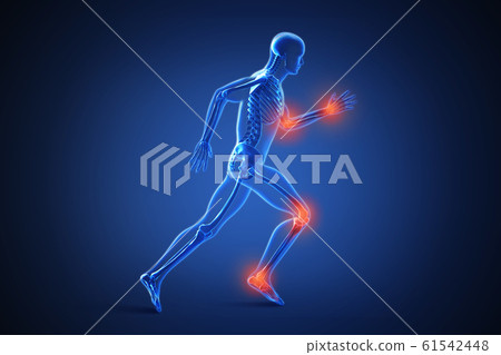 3d rendering of a human body with highlighted... - Stock Illustration ...