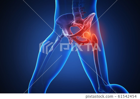 3d rendering of a human body with highlighted...-插圖素材 [61542454] - PIXTA圖庫