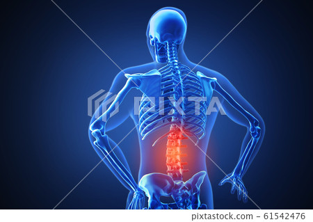 3d rendering of a human body with highlighted...-插圖素材 [61542476] - PIXTA圖庫