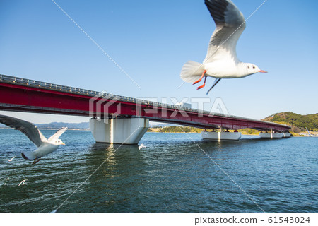Hamanako Bridge 61543024